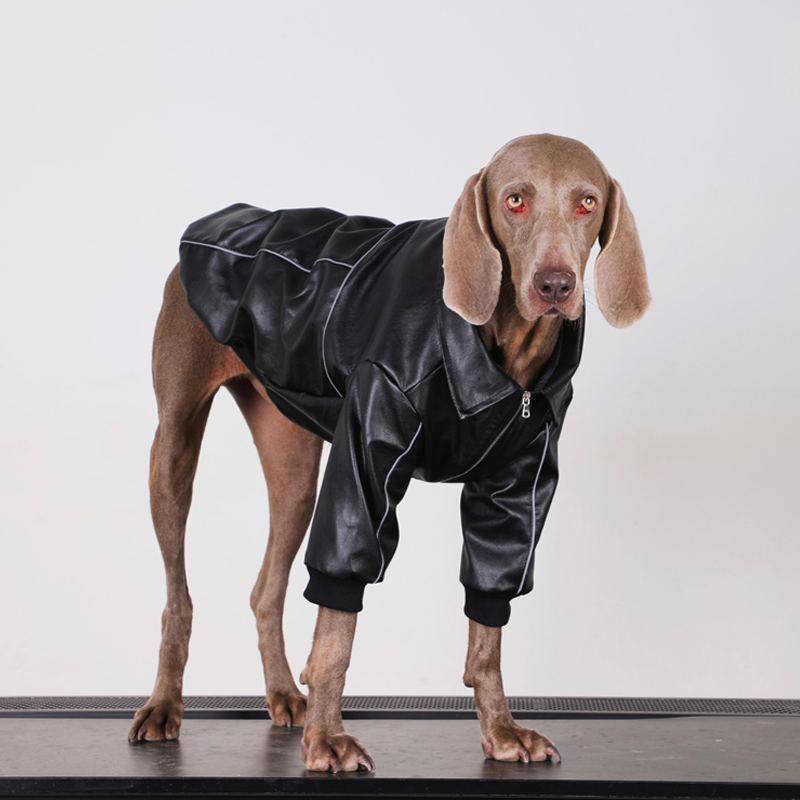 Winter Waterproof Big Dog Coat