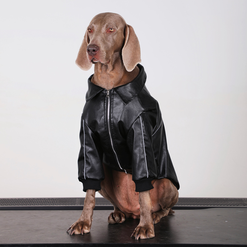 Winter Waterproof Big Dog Coat