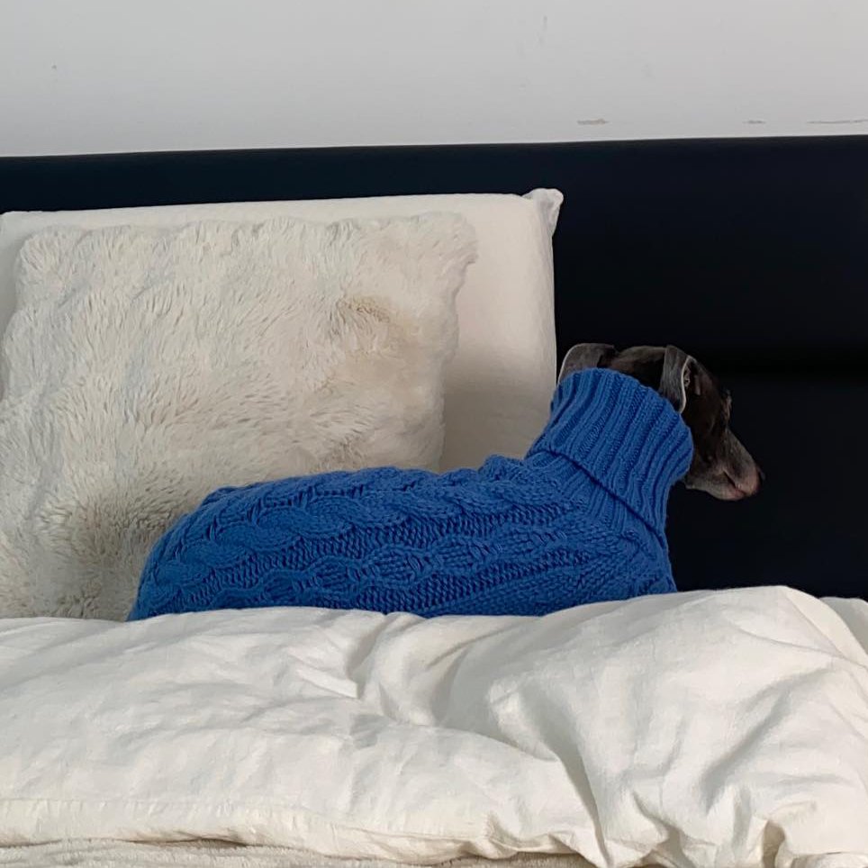 Winter Warm Italian Greyhound Sweater