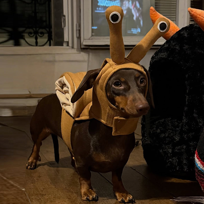Comfortable Halloween Snail Pet Costume