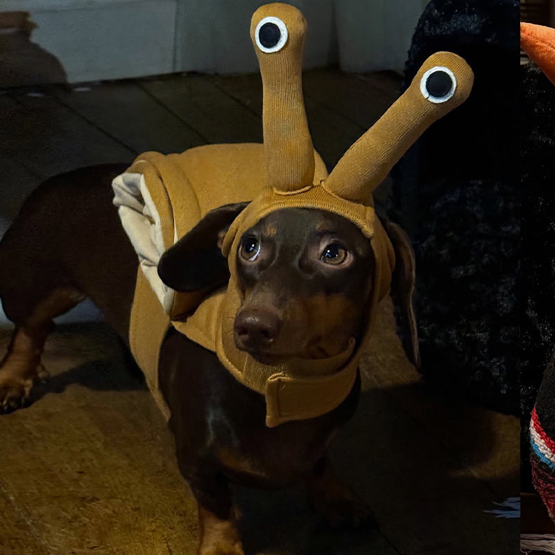 Comfortable Halloween Snail Pet Costume