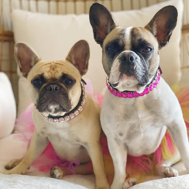 Luxurious Dog Rhinestone Collar