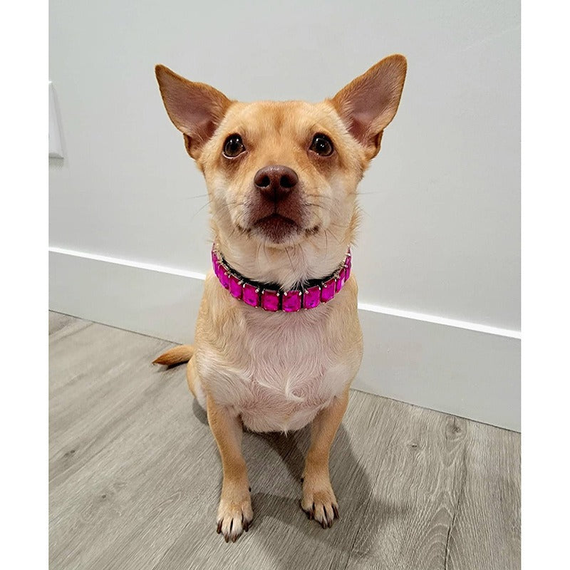 Luxurious Dog Rhinestone Collar