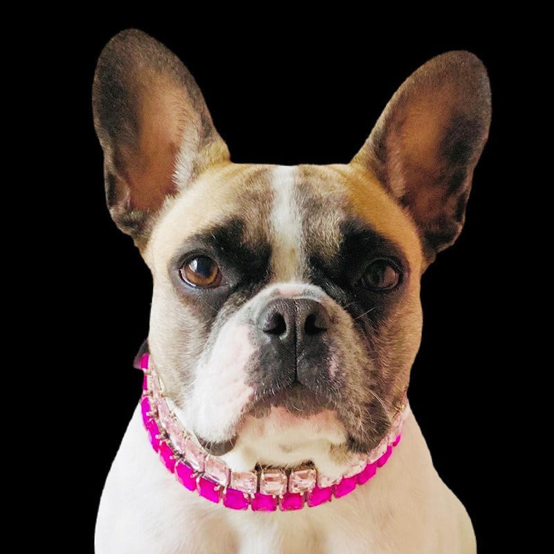 Luxurious Dog Rhinestone Collar