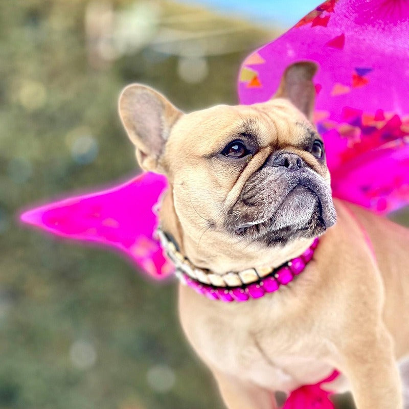 Luxurious Dog Rhinestone Collar