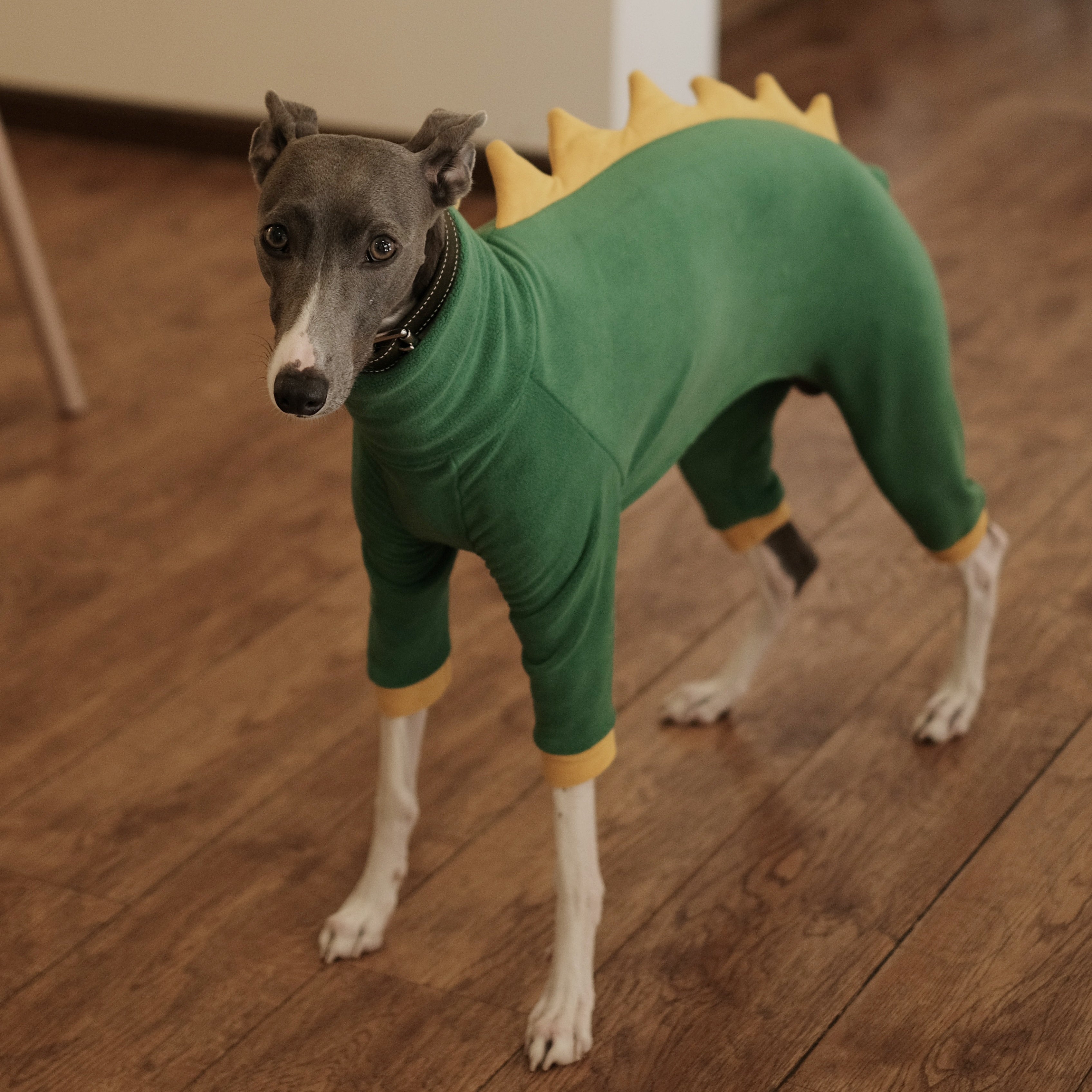 Warm Fleece Italian Greyhound Dog Onesie