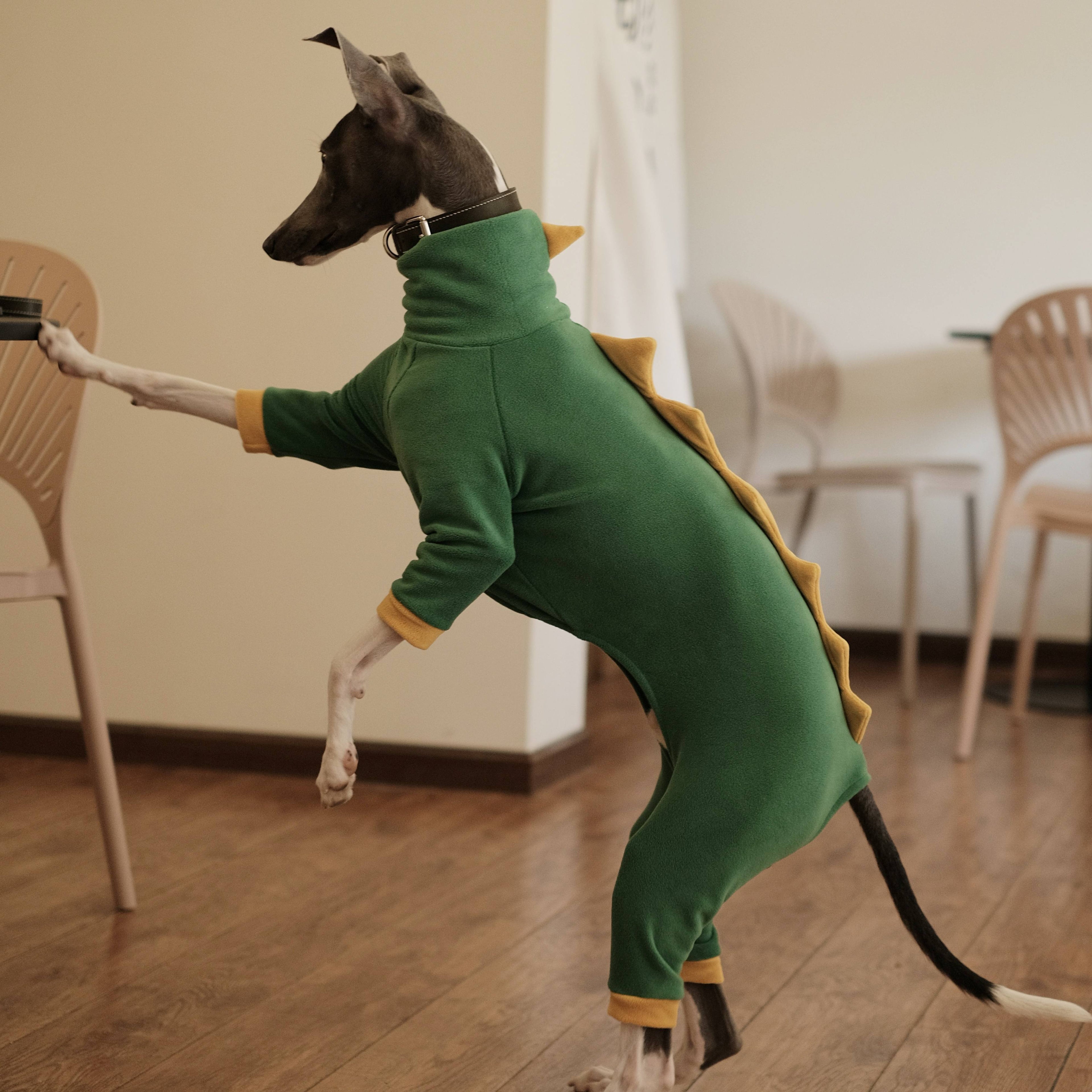 Warm Fleece Italian Greyhound Dog Onesie