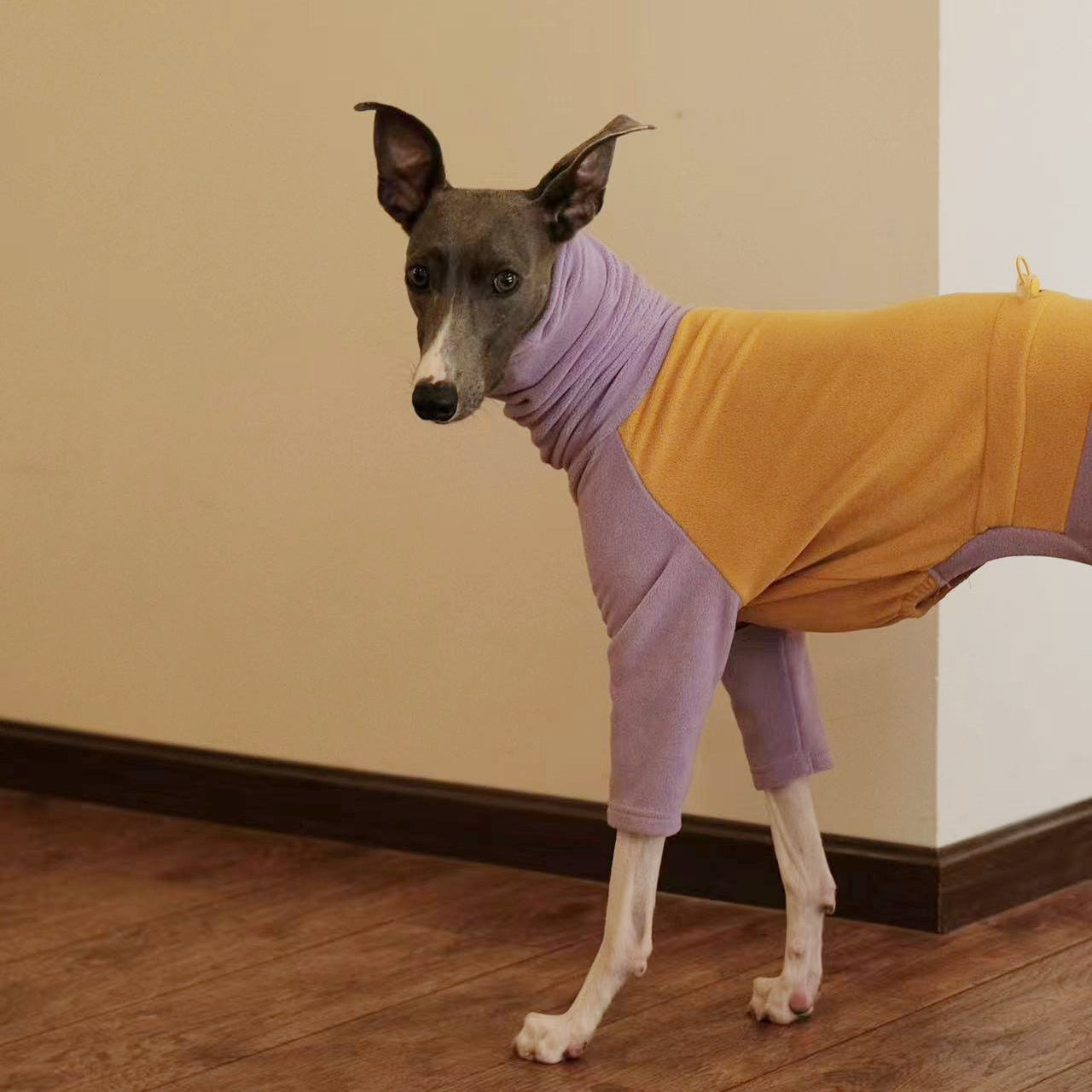 Warm Fleece Italian Greyhound Onesie