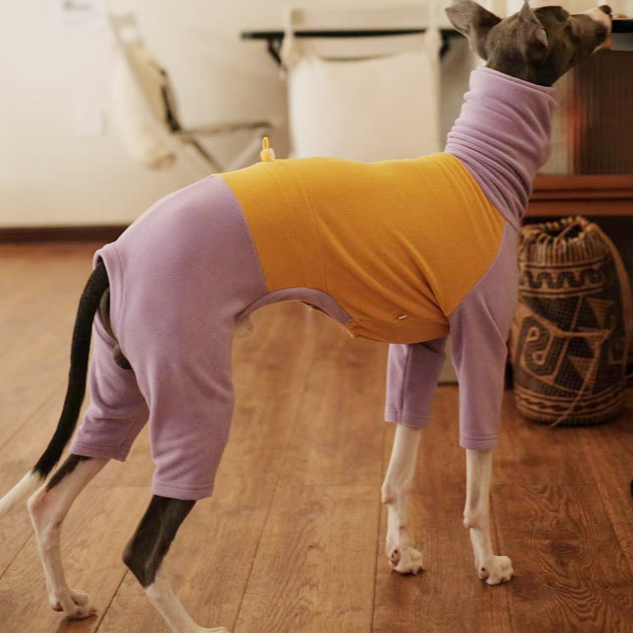 Warm Fleece Italian Greyhound Onesie