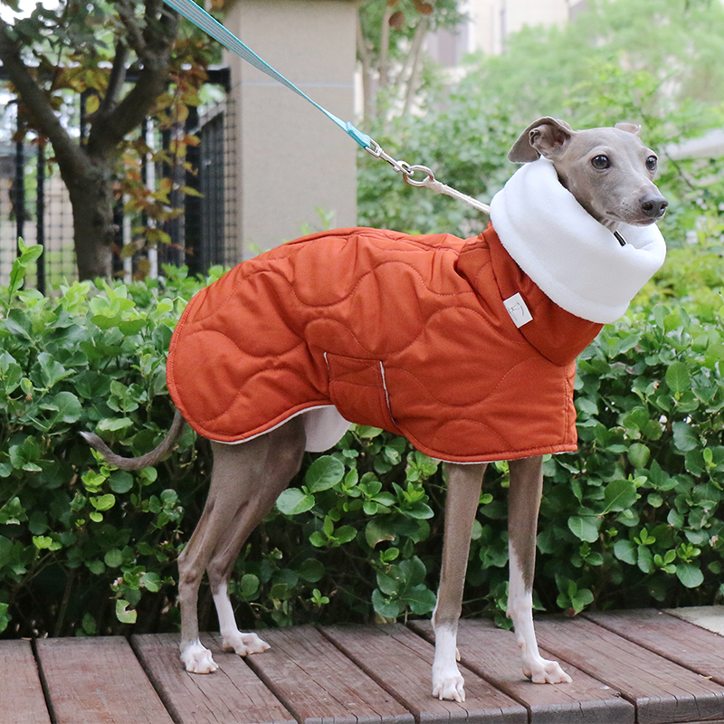Warm Padded Italian Greyhound Dog Coat