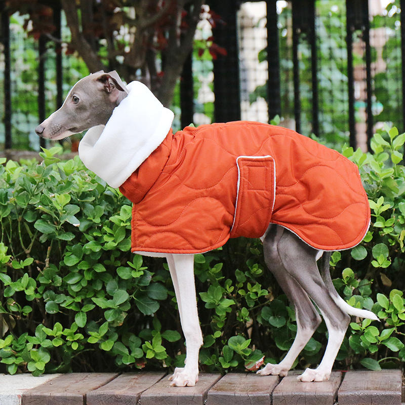 Warm Padded Italian Greyhound Dog Coat