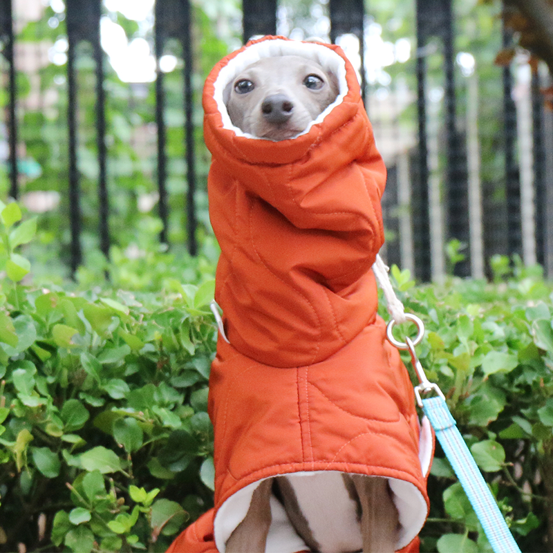 Warm Padded Italian Greyhound Dog Coat