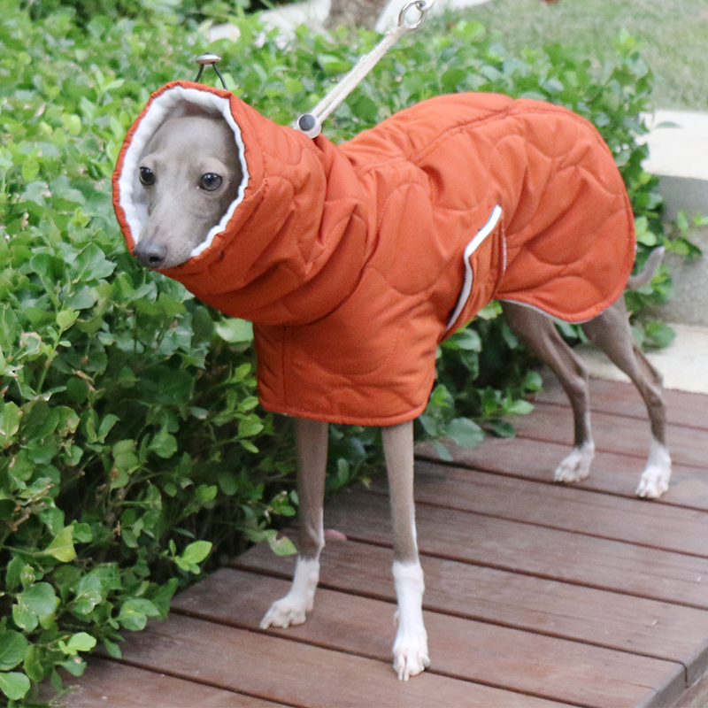 Warm Padded Italian Greyhound Dog Coat