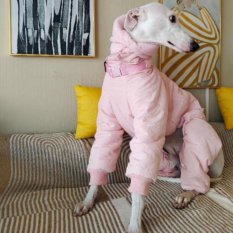 Winter Warm Italian Greyhound Padded Coat