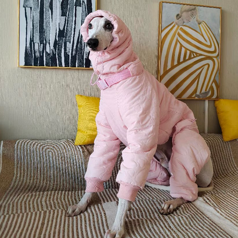Winter Warm Italian Greyhound Padded Coat