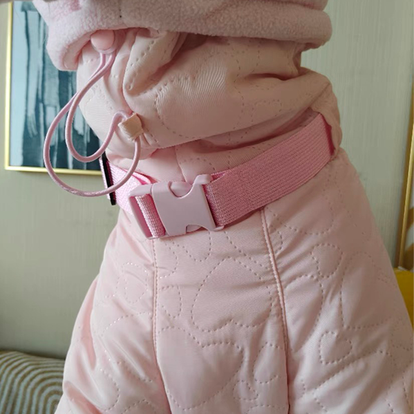 Warm Padded Italian Greyhound Coat
