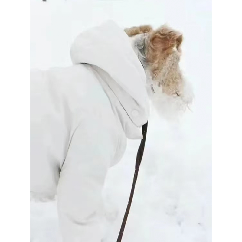 Warm Italian Greyhound Dog Snowsuit