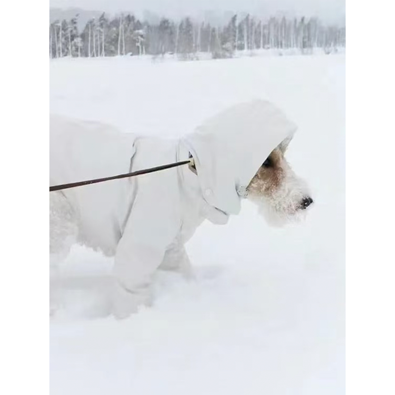Warm Italian Greyhound Dog Snowsuit