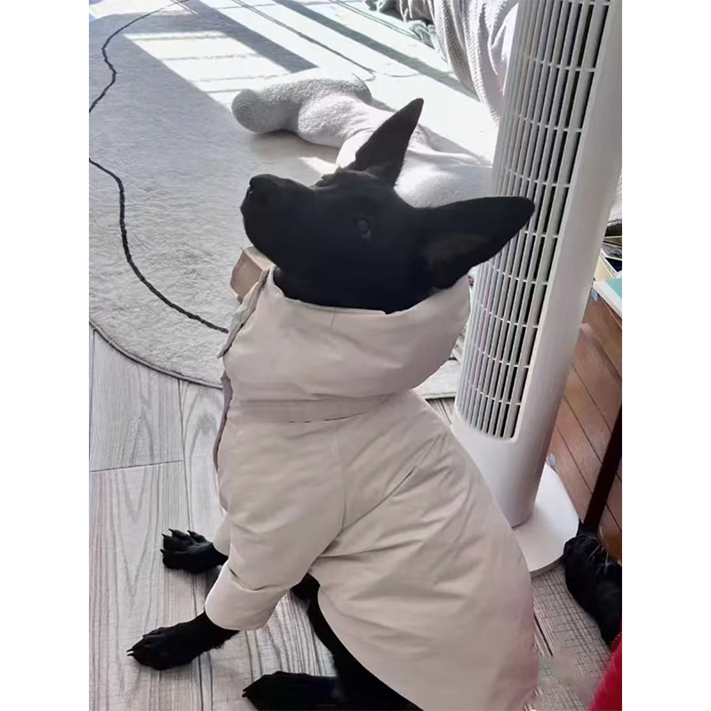 Warm Italian Greyhound Dog Snowsuit