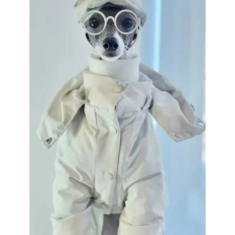 Warm Italian Greyhound Dog Snowsuit
