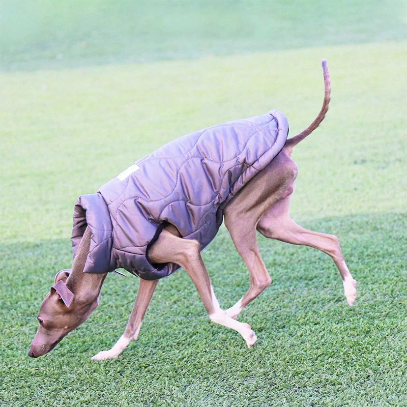 Winter Warm Italian Greyhound Dog Vest