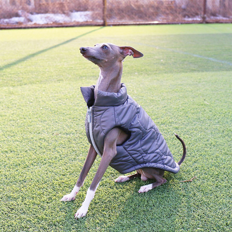 Winter Warm Italian Greyhound Dog Vest