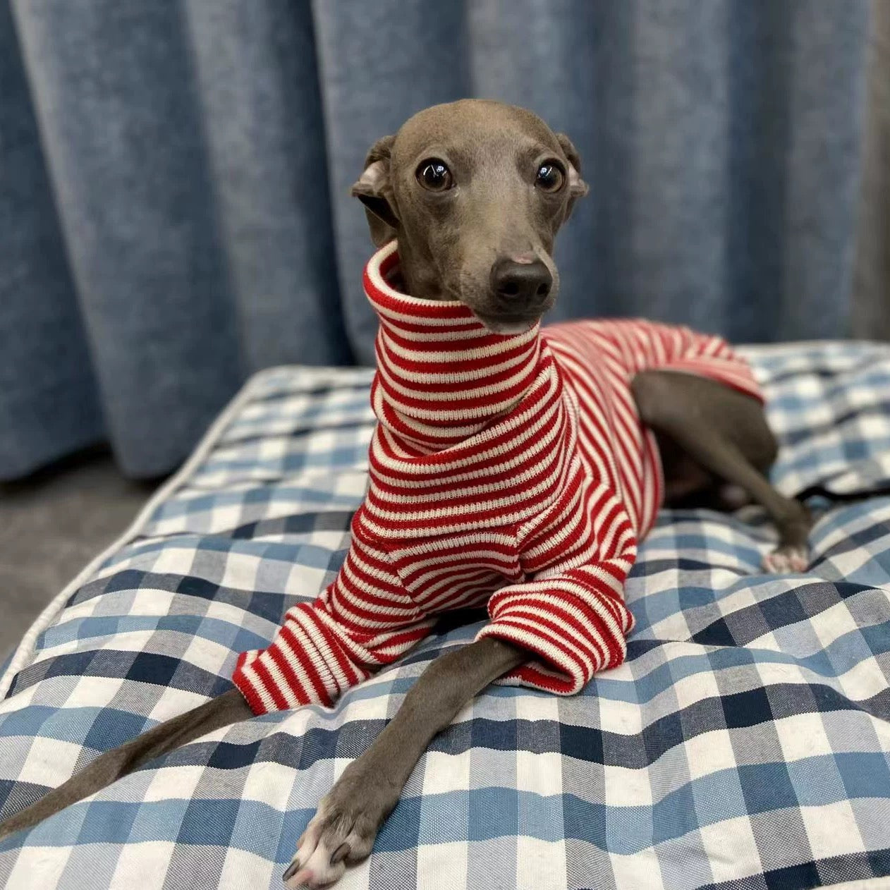 Stretchy Dog Turtleneck Shirt