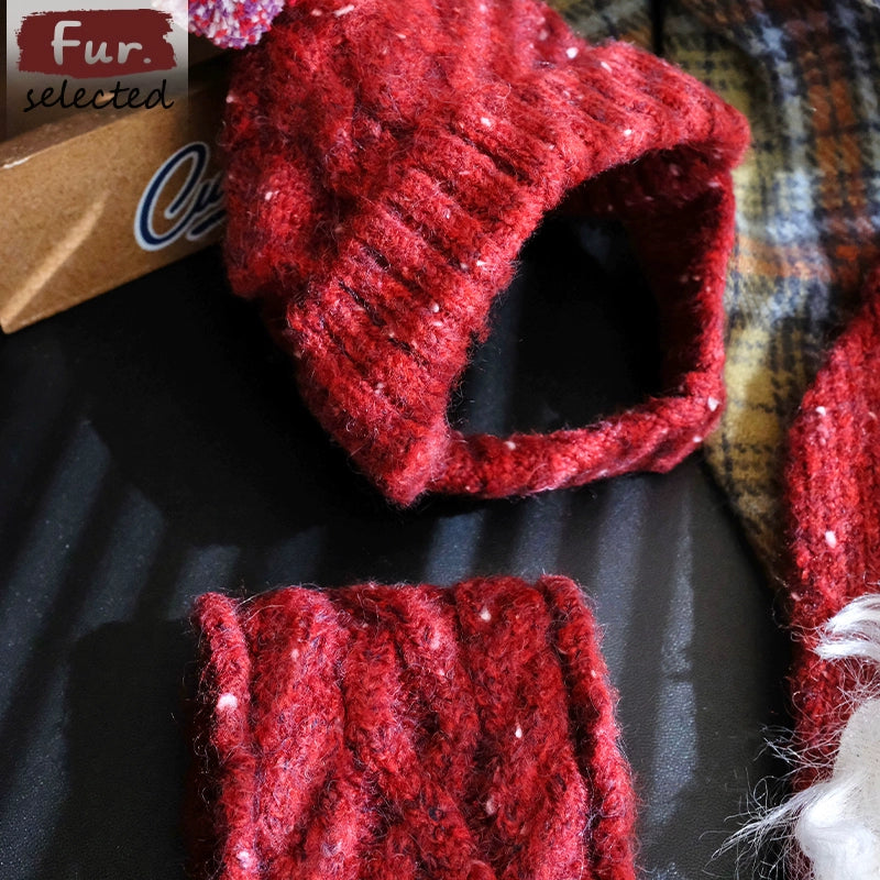 Cozy Dog Christmas Sweater Set
