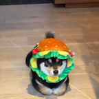 Funny Hamburger Pet Hat