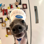 Chef Hat Pet Head Cover