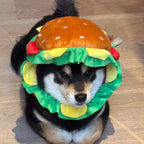 Funny Hamburger Pet Hat