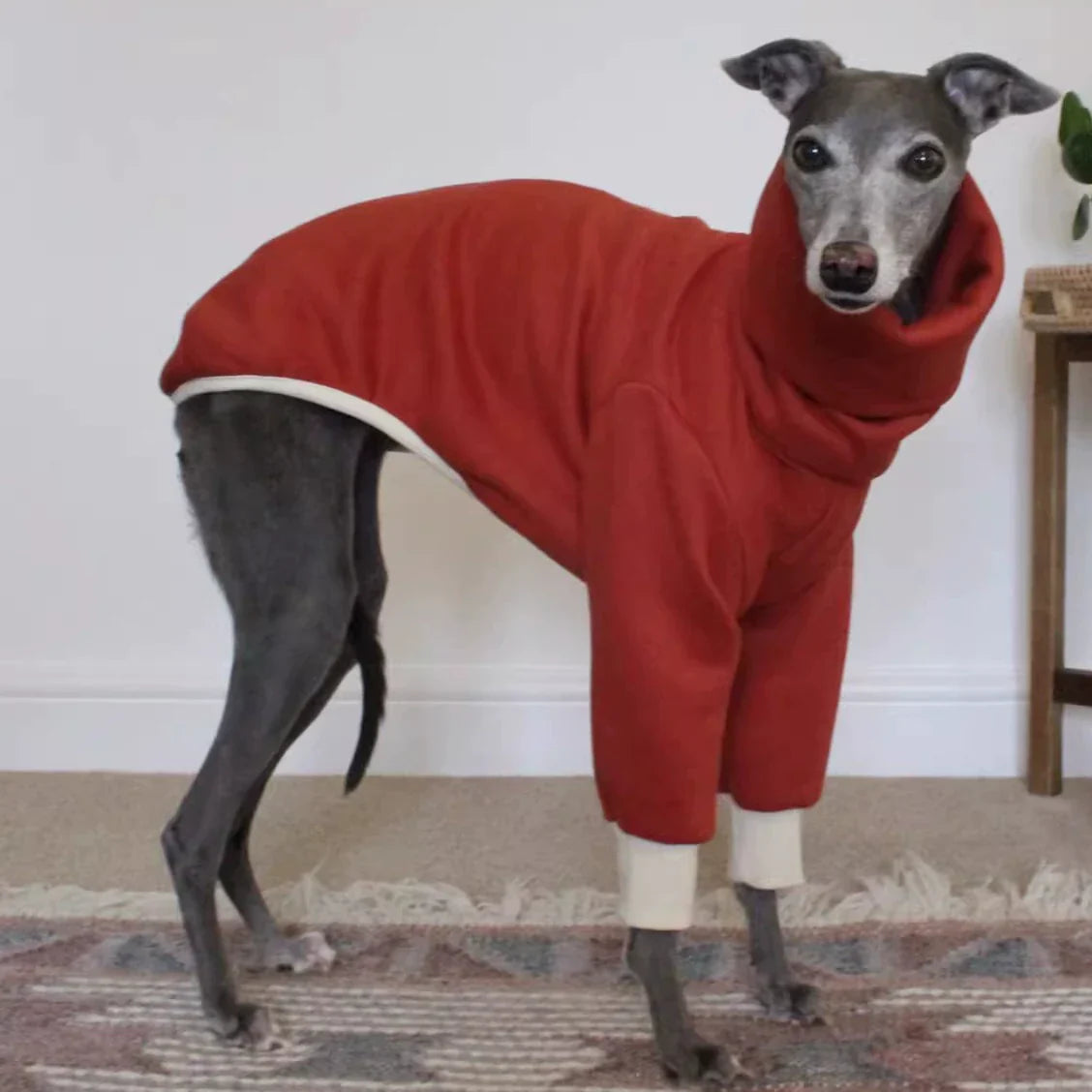 Italian Greyhound Winter Pullover: Cozy High-Neck Outfit