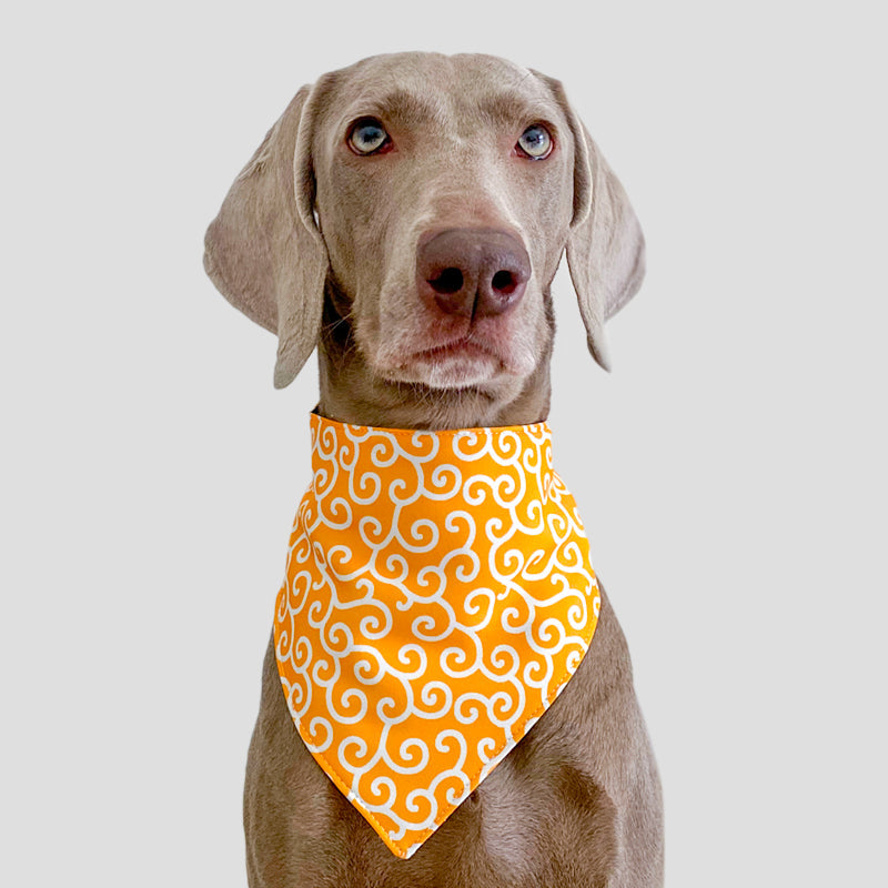 Pure Cotton Geometric Print Dog Scarf Bib