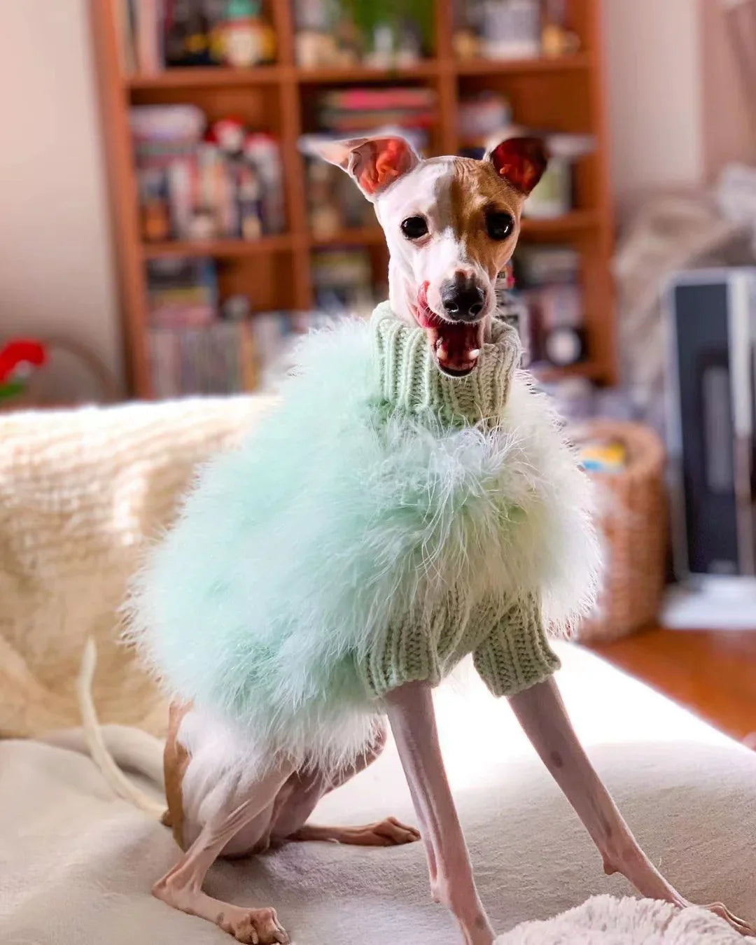 Turkey Feather Luxury Sweater