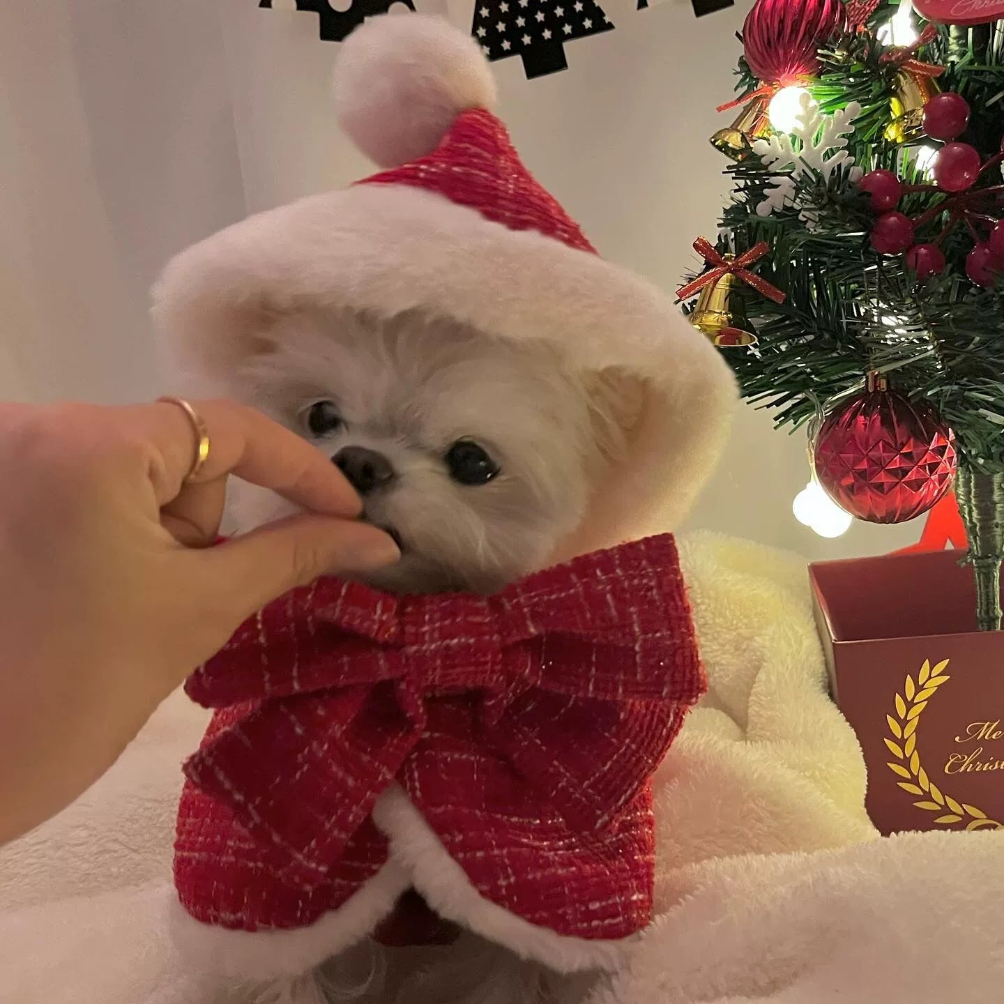 Plush Hooded Pet Christmas Cape