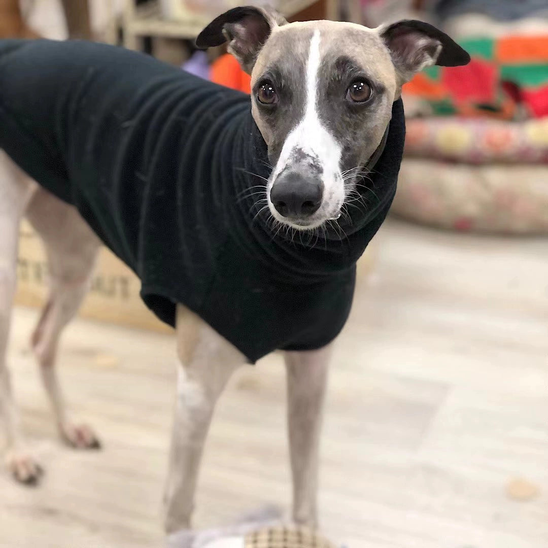 Fleece Turtleneck Sighthound Jumpsuit