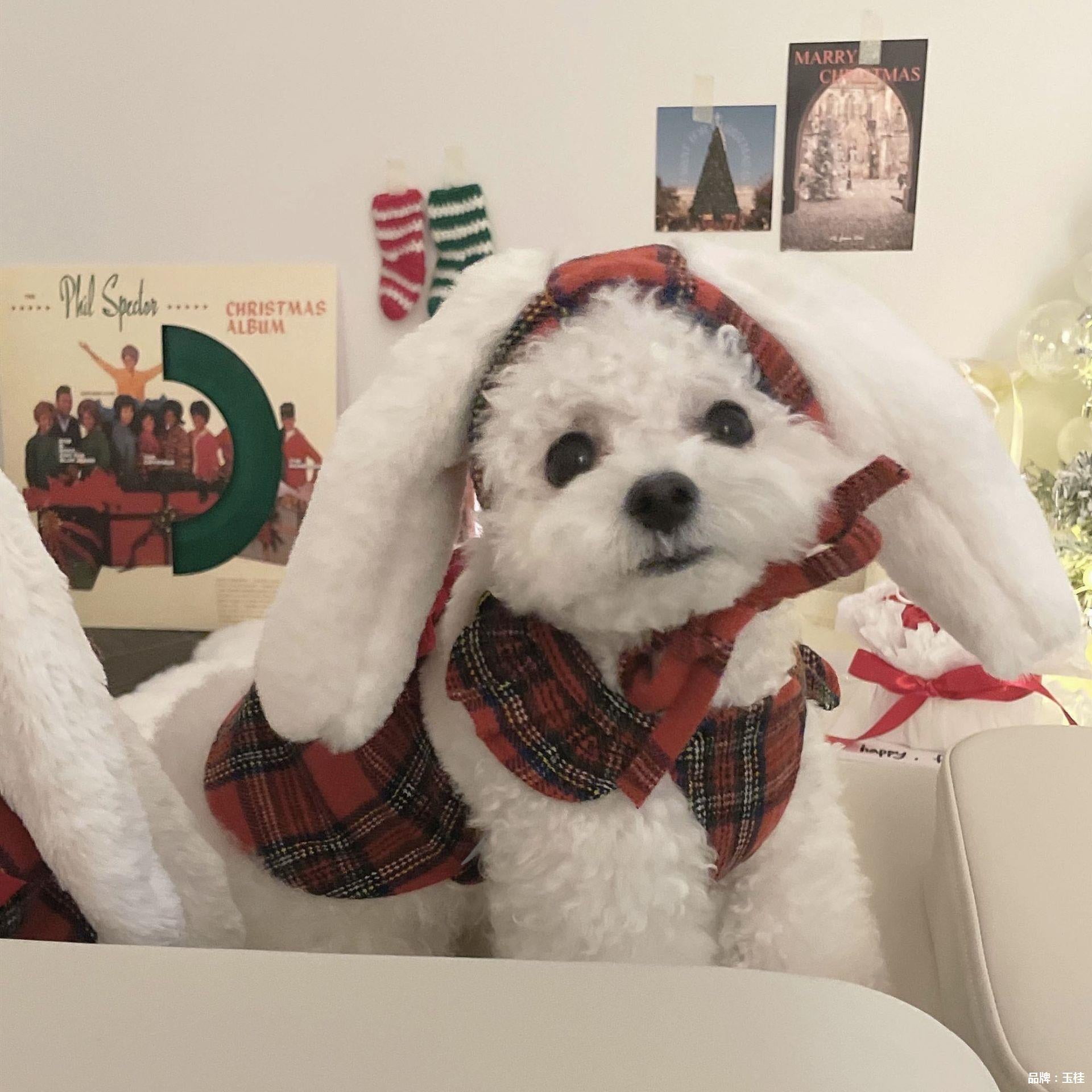 Bunny Ear Dog Christmas Dress