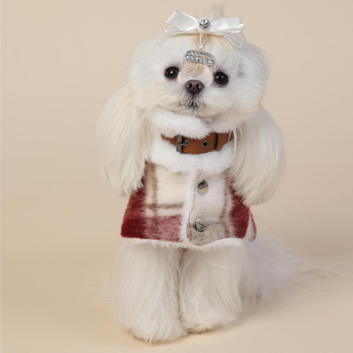 Red Plaid Wool Dog Christmas Cape