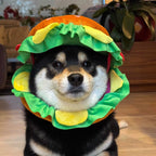 Funny Hamburger Pet Hat