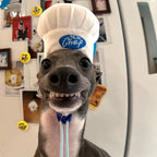 Chef Hat Pet Head Cover