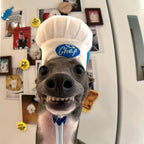 Chef Hat Pet Head Cover