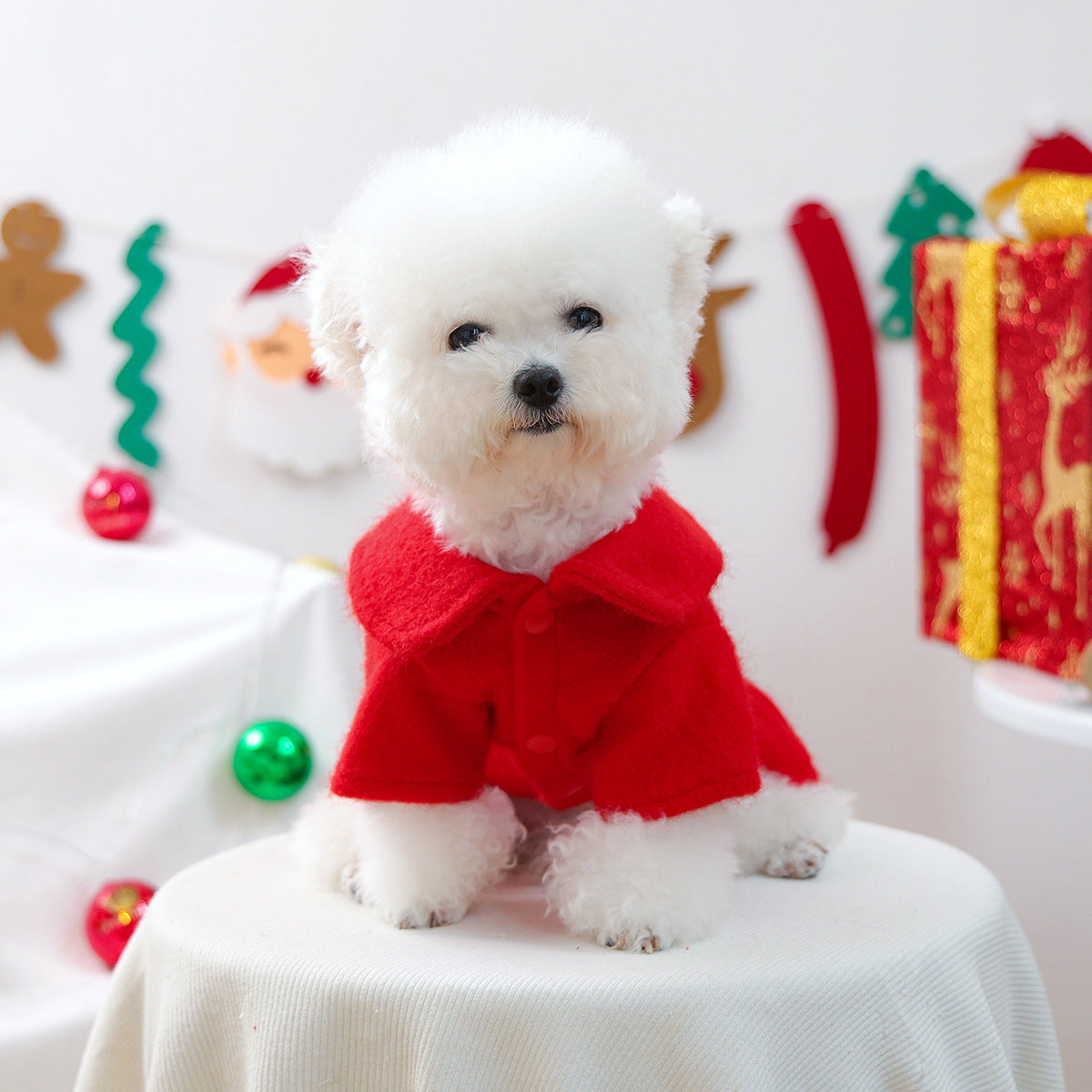 Christmas Reindeer Dress & Hoodie