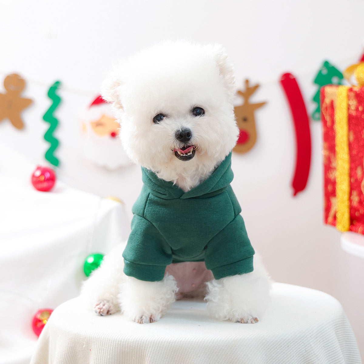 Green Christmas Jingle Hoodie