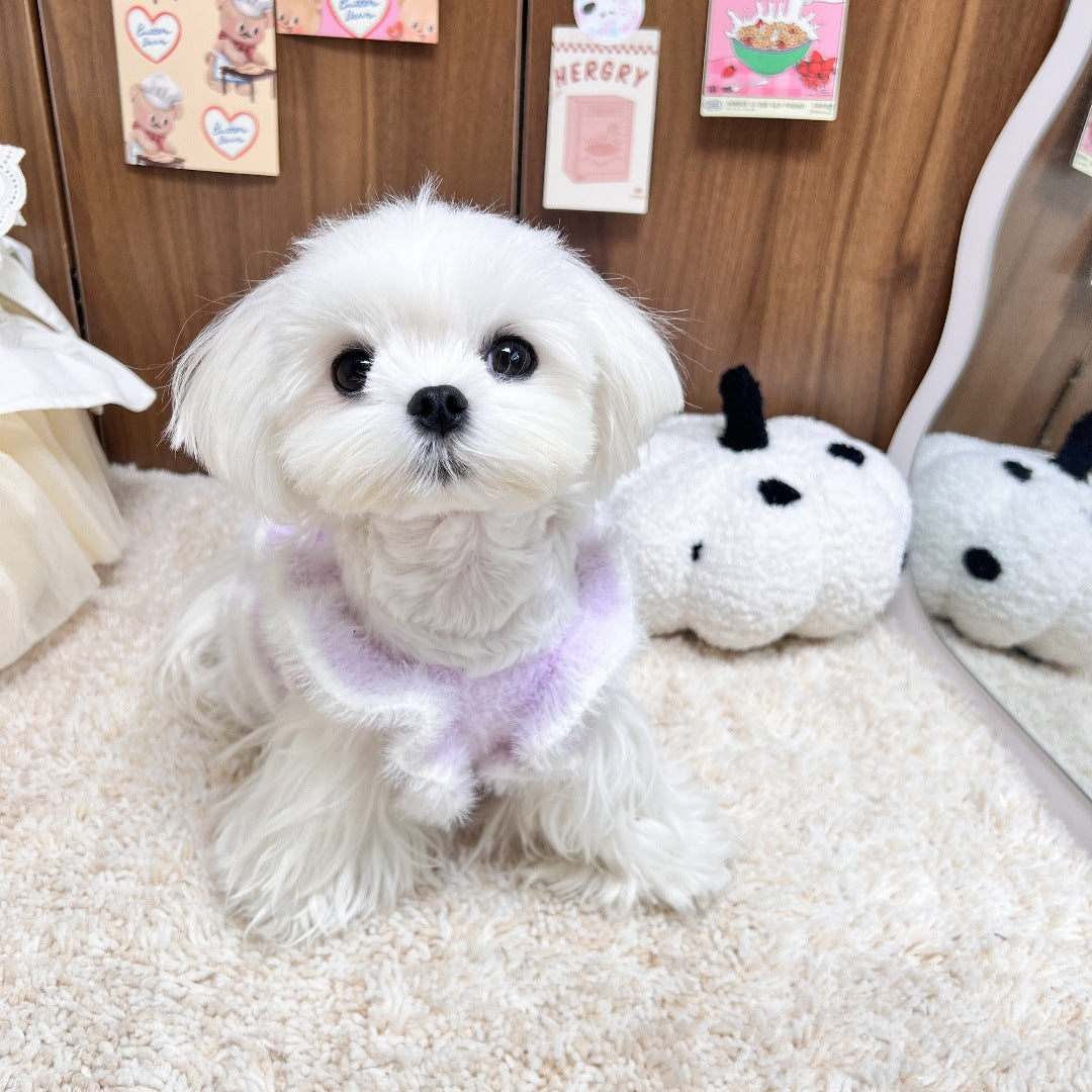 Velvet Pet Christmas Dress