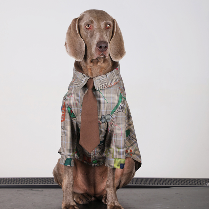 Preppy Retro Big Dog Cotton Shirts