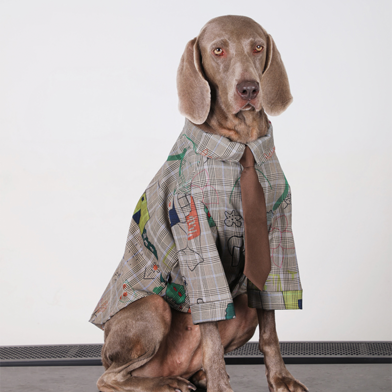 Preppy Retro Big Dog Cotton Shirts