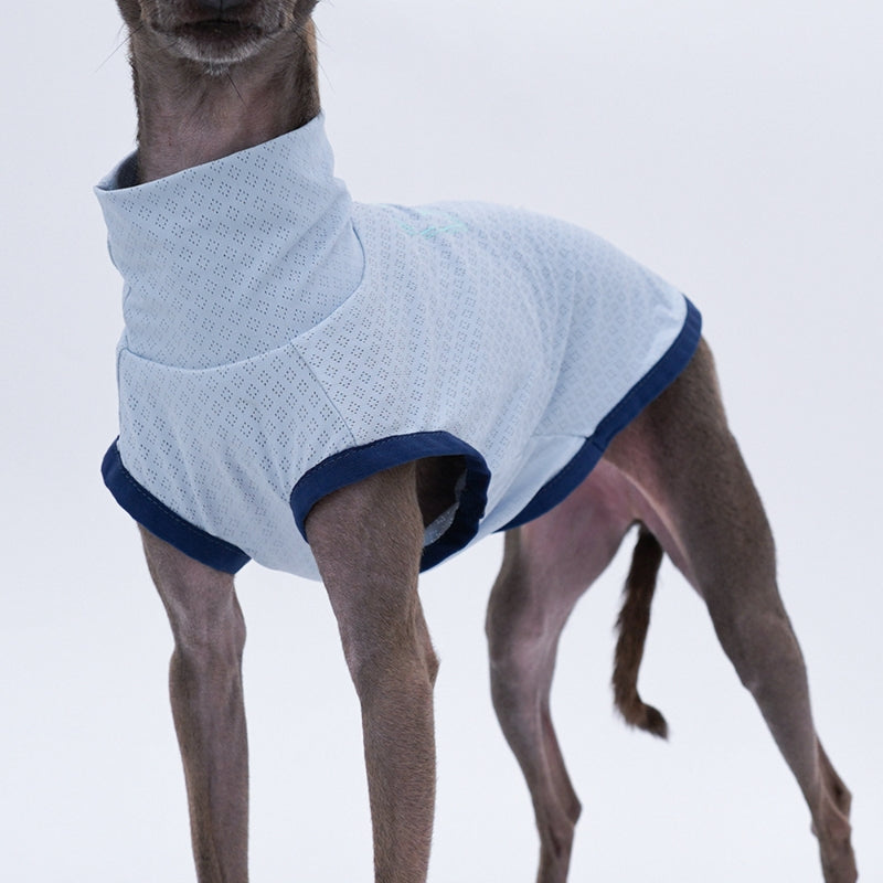 Ultra Soft Greyhound Sleeveless Tank Top