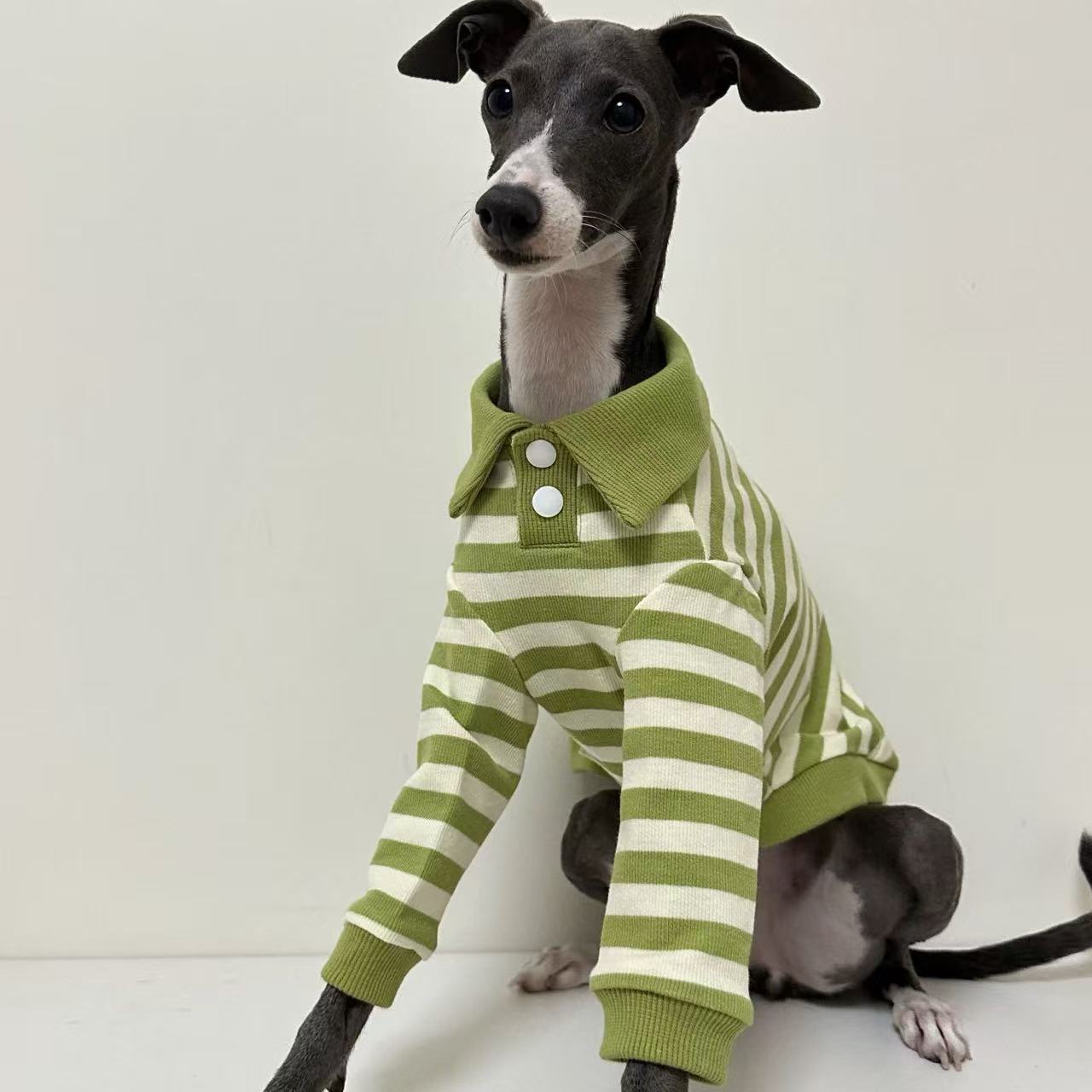 Comfortable Dog Polo Shirt