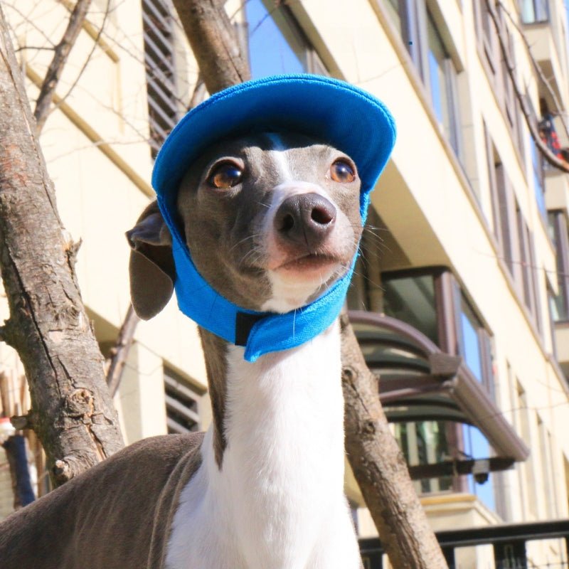 Adjustable Italian Dog Baseball Cap