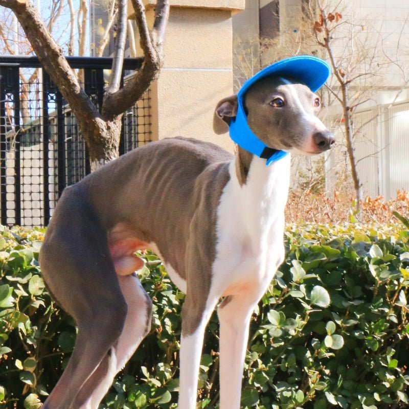 Adjustable Italian Dog Baseball Cap